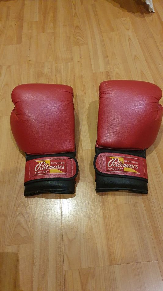 Guantes de Boxeo de Piel Rojo y Negro Palomares - Usado Vista Principal